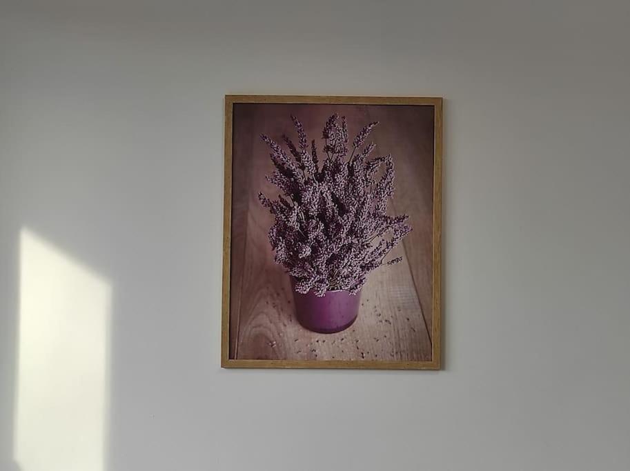 ***Santorini Apartament*** - 40M² ✓ Rybnik  Esterno foto