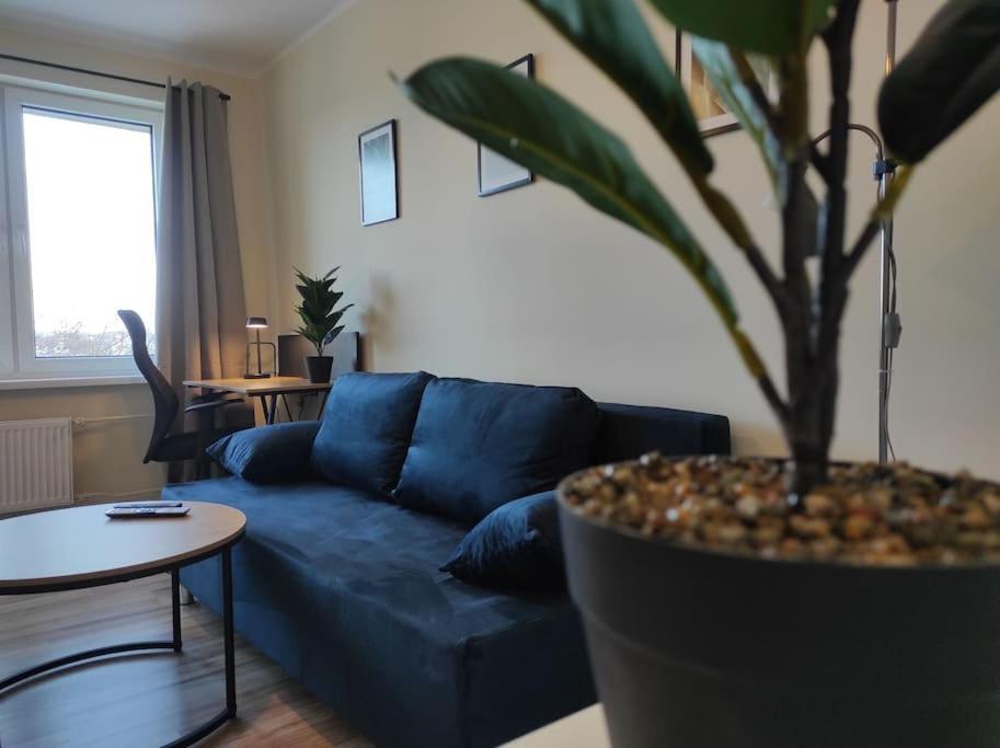 ***Santorini Apartament*** - 40M² ✓ Rybnik  Esterno foto