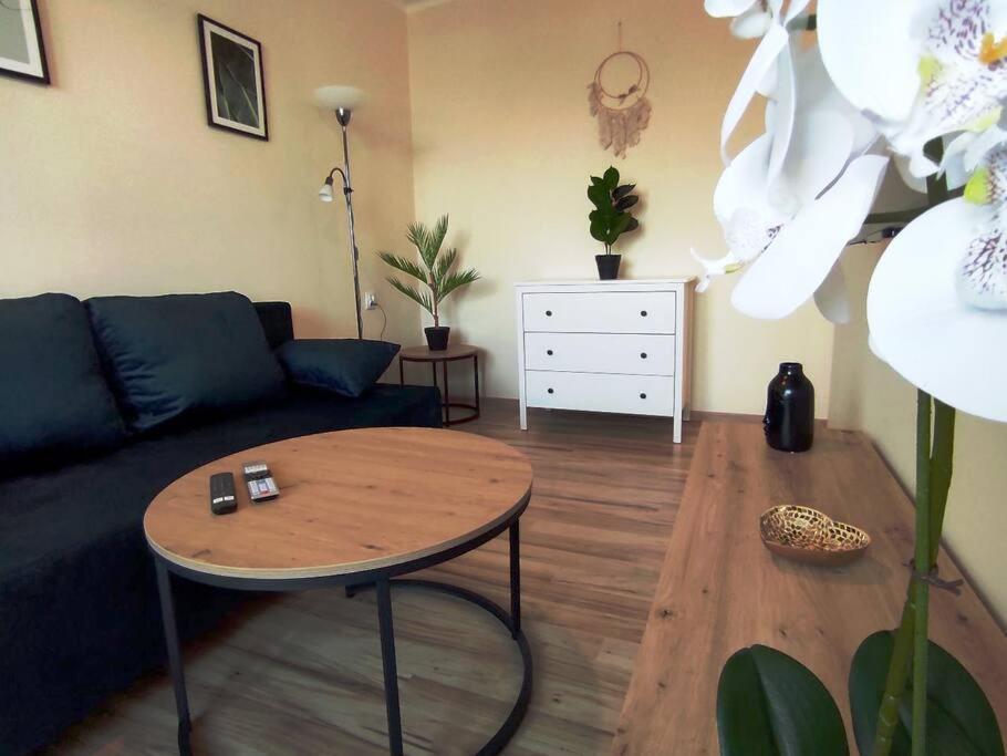 ***Santorini Apartament*** - 40M² ✓ Rybnik  Esterno foto
