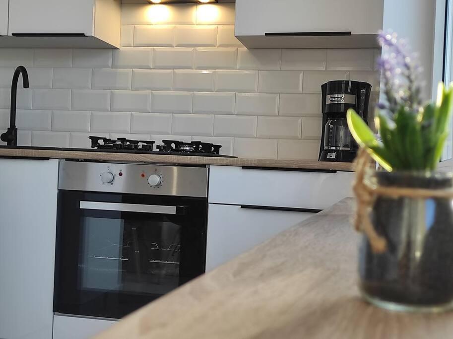 ***Santorini Apartament*** - 40M² ✓ Rybnik  Esterno foto